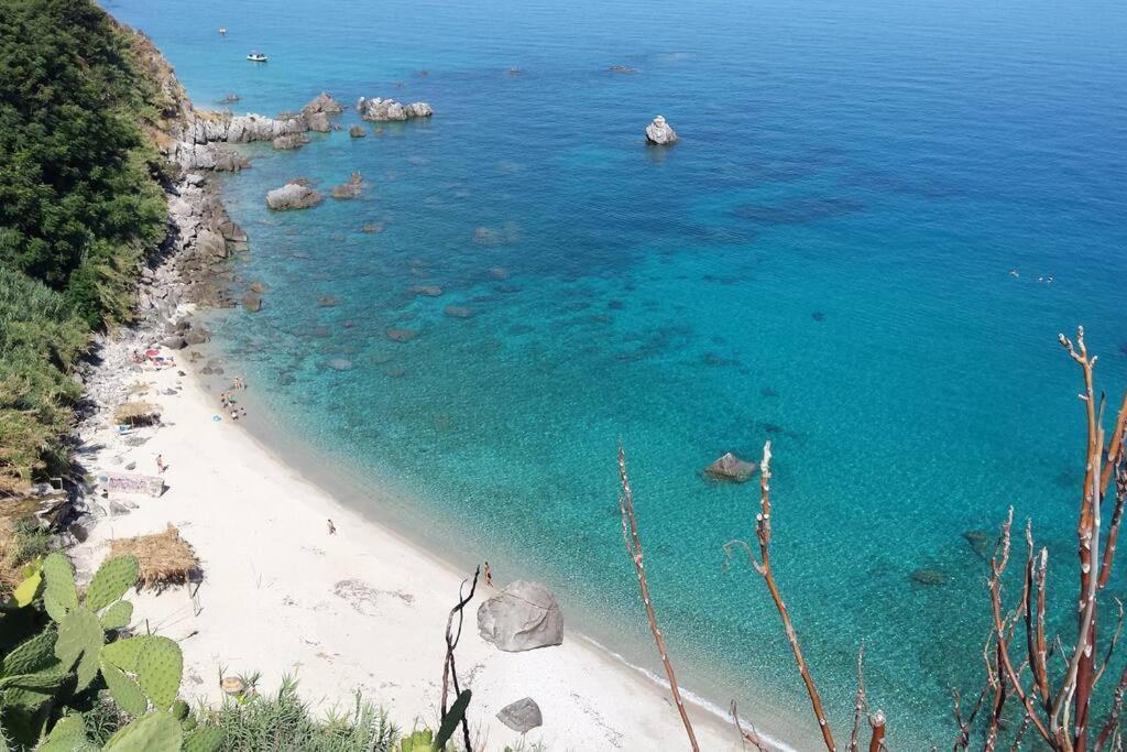 Terrazza Michelino Daire Parghelia Dış mekan fotoğraf